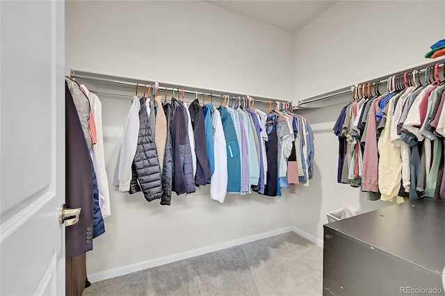 walk in closet featuring carpet flooring