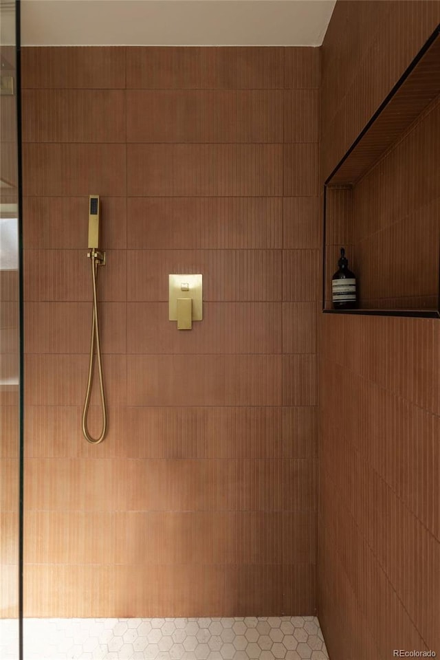 4631 Zuni St, Denver, CO 80211 - bathroom with tiled shower