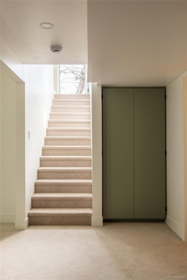 4631 Zuni St, Denver, CO 80211 - stairway featuring carpet and baseboards