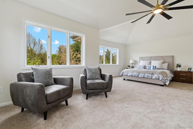 7309 Windsor Dr, Boulder, CO 80301 - photo 19