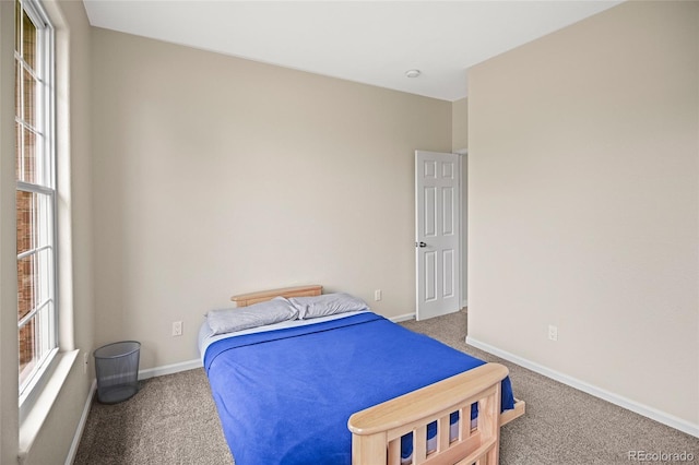 bedroom with multiple windows and carpet flooring