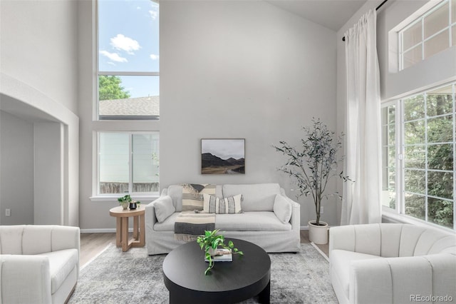 664 Clarendon Dr, Longmont, CO 80504 - living area featuring wood finished floors and high vaulted ceiling