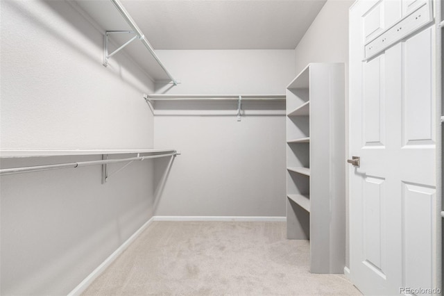 664 Clarendon Dr, Longmont, CO 80504 - walk in closet with light carpet