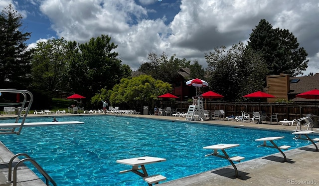 pool featuring fence, a patio, and a diving board