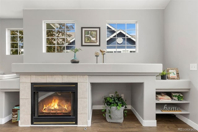 room details with baseboards, a fireplace, and wood finished floors