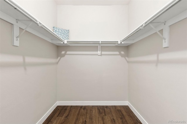 walk in closet featuring dark wood-style flooring