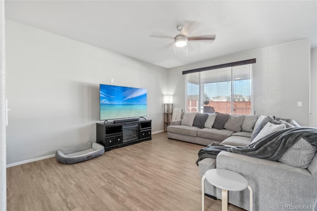 living room with ceiling fan and hardwood / wood-style flooring