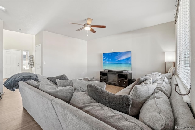 living room with ceiling fan and light hardwood / wood-style floors