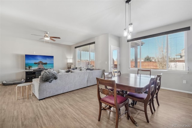 dining area with light hardwood / wood-style floors, plenty of natural light, and ceiling fan