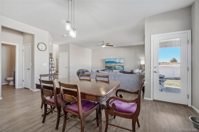 dining space featuring ceiling fan and light hardwood / wood-style flooring