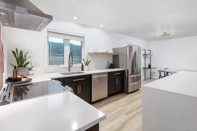 kitchen with appliances with stainless steel finishes, ventilation hood, sink, dark brown cabinetry, and light wood-type flooring