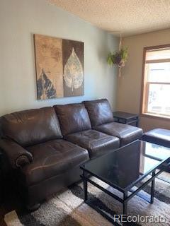 living room with a textured ceiling