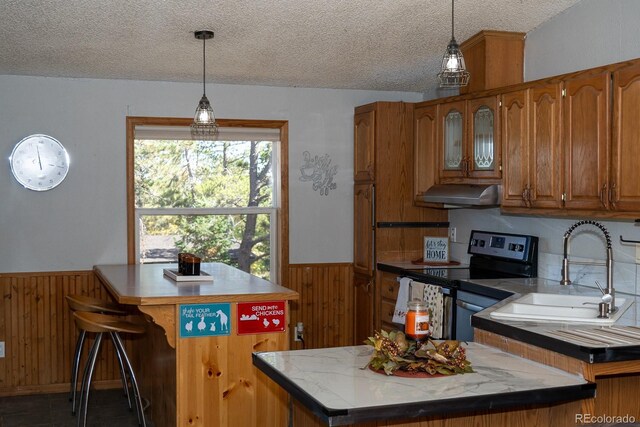 kitchen featuring a textured ceiling, decorative light fixtures, stainless steel range with electric stovetop, and sink