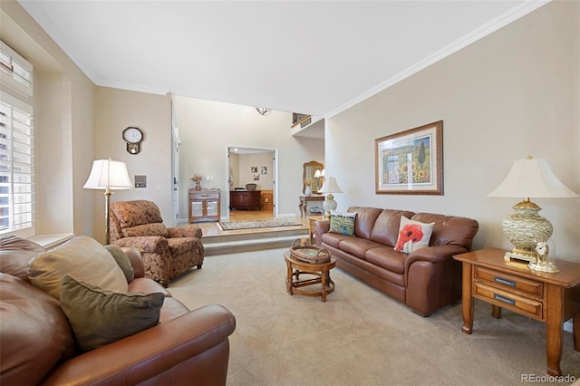 carpeted living room with crown molding