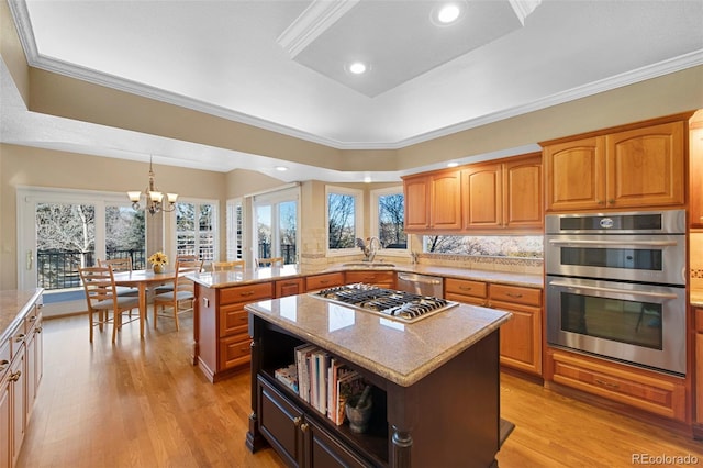 kitchen with an inviting chandelier, stainless steel appliances, a kitchen island, and a tray ceiling