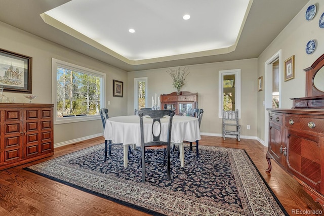 dining area featuring a tray ceiling, baseboards, and wood finished floors