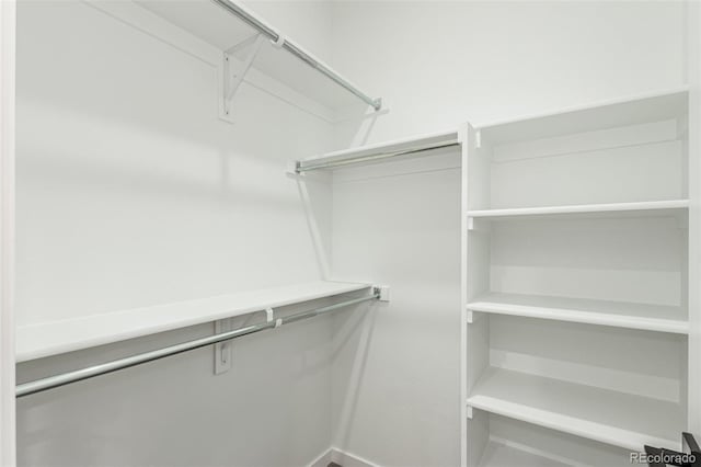1826 Hickory Ave, Erie, CO 80516 - view of spacious closet