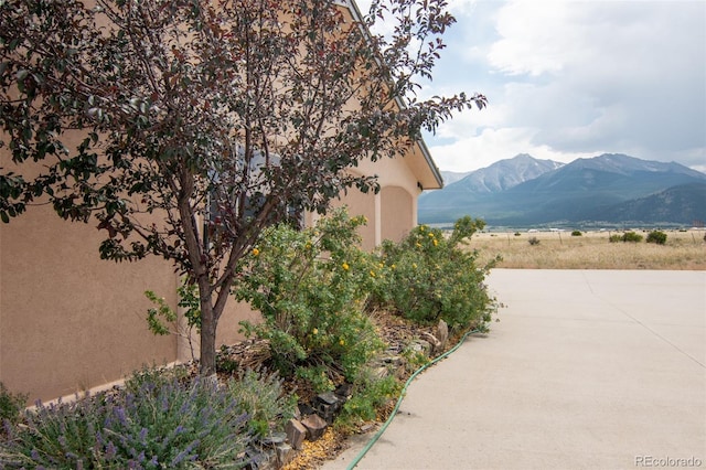 16450 County Road 306, Buena Vista, CO 81211 - photo 44
