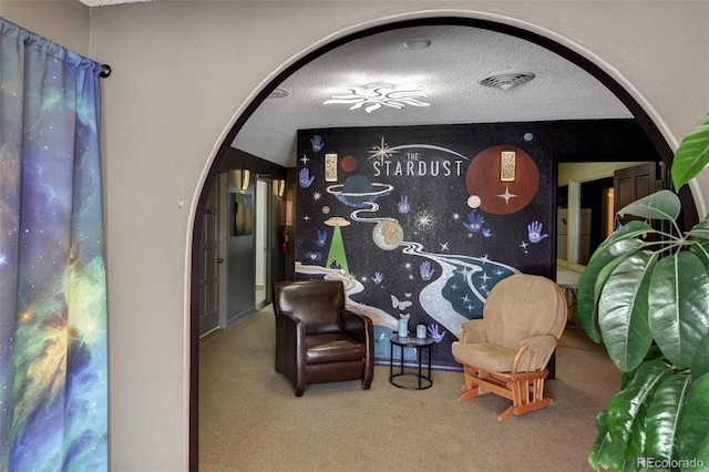 16450 County Road 306, Buena Vista, CO 81211 - photo 9