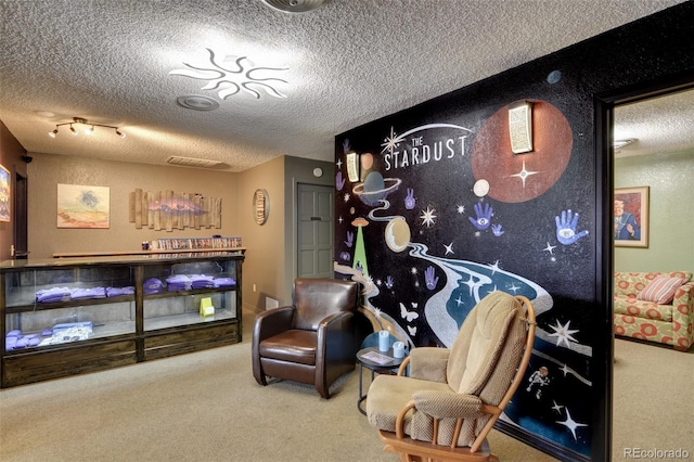 16450 County Road 306, Buena Vista, CO 81211 - photo 31