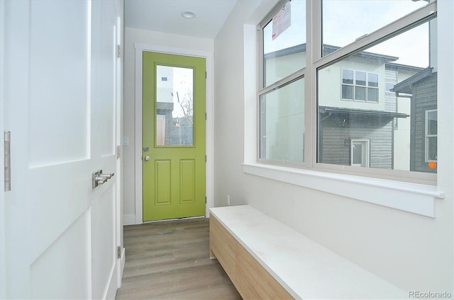 interior space with hardwood / wood-style floors and plenty of natural light