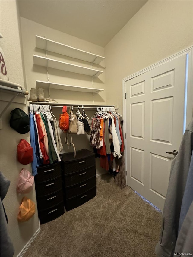 spacious closet featuring dark colored carpet