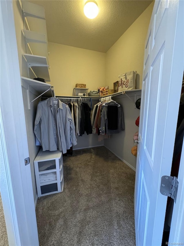 spacious closet featuring dark colored carpet