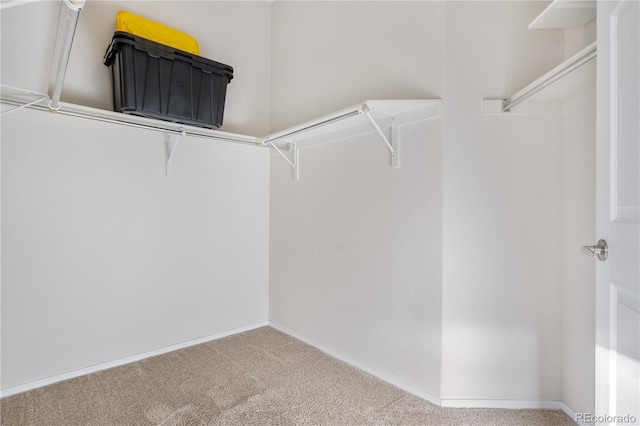 walk in closet featuring light carpet