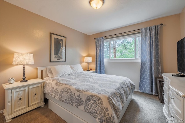 753 Edge Hill Dr, Woodland Park, CO 80863 - bedroom featuring dark colored carpet and baseboards