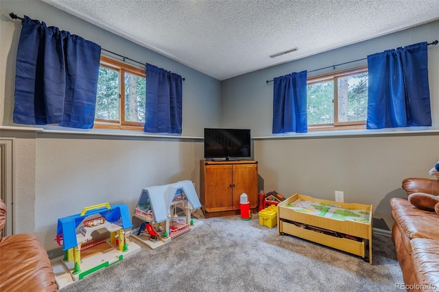 753 Edge Hill Dr, Woodland Park, CO 80863 - recreation room featuring carpet flooring and a textured ceiling