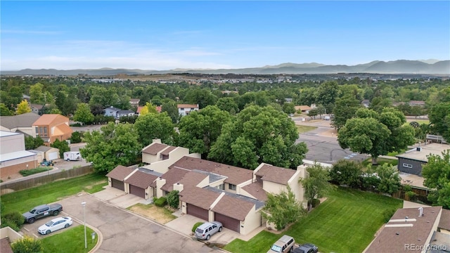 1137 Sequerra St, Broomfield, CO 80020 - photo 23