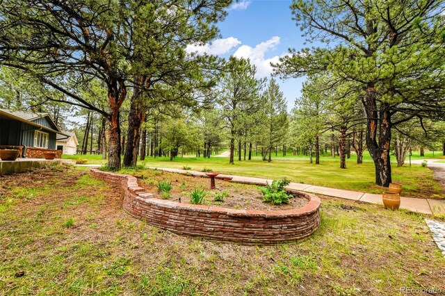 19070 White Fawn Dr, Monument, CO 80132 - photo 39