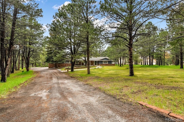 19070 White Fawn Dr, Monument, CO 80132 - photo 43