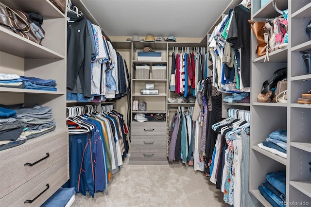 walk in closet featuring carpet