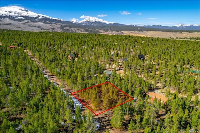 323 Juniper Dr, Twin Lakes CO, 81251 land for sale