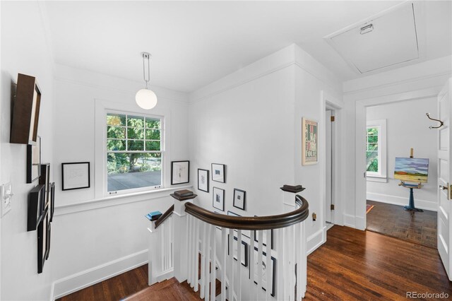 staircase with baseboards and wood finished floors