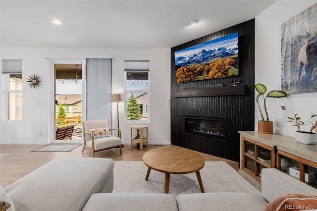 4465 Mesa Top Dr, Monument, CO 80132 - living area featuring wood finished floors, a glass covered fireplace, and recessed lighting