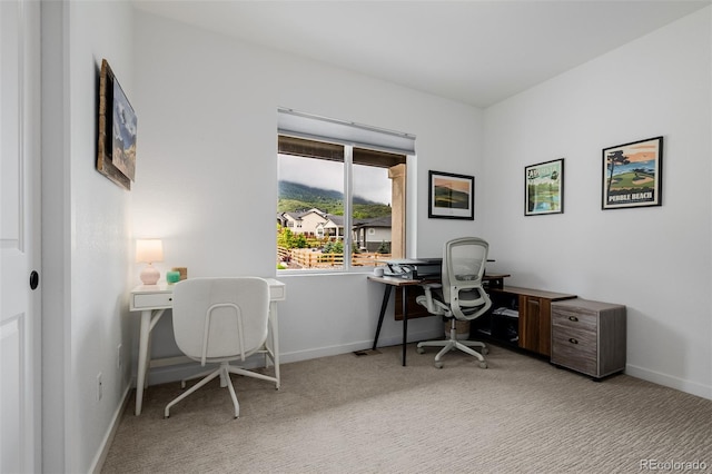 4465 Mesa Top Dr, Monument, CO 80132 - office space with light colored carpet