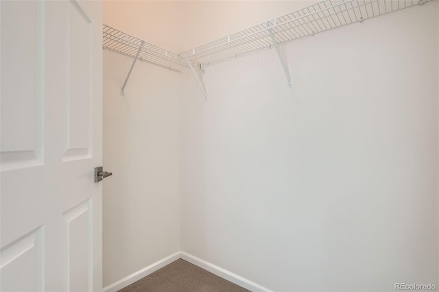 8500 E Jefferson Unit 3C, Denver, CO 80237 - walk in closet featuring carpet flooring