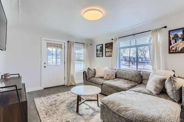 living room featuring dark wood-type flooring