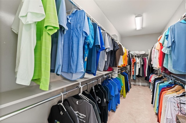 spacious closet with light colored carpet