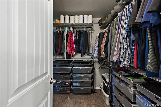 walk in closet featuring carpet