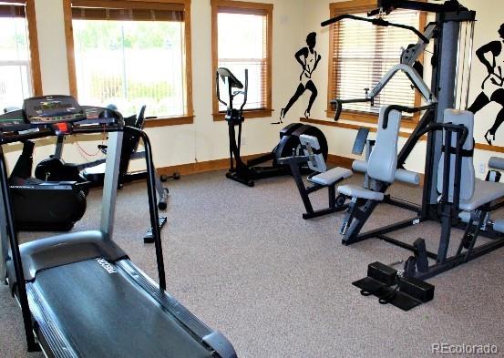 exercise room featuring carpet flooring, baseboards, and a wealth of natural light