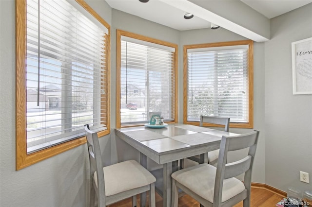 dining room featuring baseboards and wood finished floors