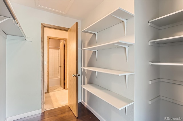 8635 Clay St Unit 417, Westminster, CO 80031 - walk in closet with dark wood-style flooring and attic access