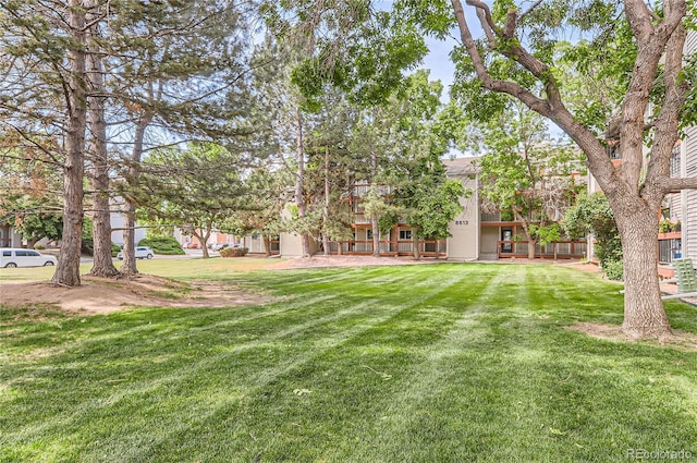 8635 Clay St Unit 417, Westminster, CO 80031 - view of green lawn