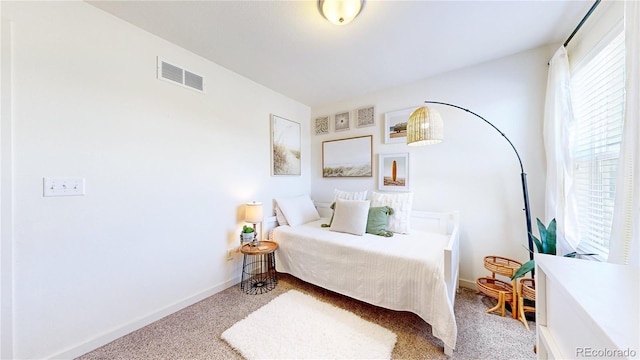 10016 Hough Pt, Parker, CO 80134 - bedroom with carpet flooring and baseboards