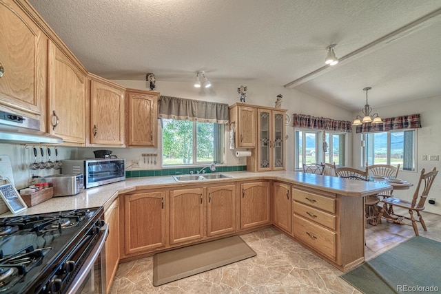 320 Hudson St, Silver Cliff, CO 81252 - kitchen with vaulted ceiling, a textured ceiling, light countertops, healthy amount of natural light, and a peninsula
