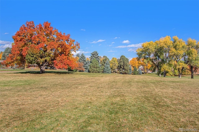 120 S Locust St, Denver, CO 80224 - photo 38