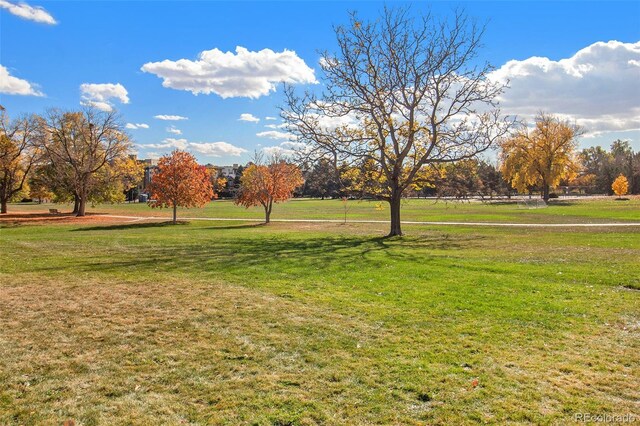 120 S Locust St, Denver, CO 80224 - photo 41